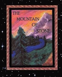 bokomslag The Mountain of Stone