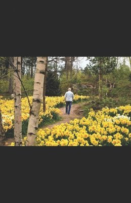 bokomslag Daffodil Hill