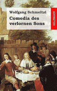 bokomslag Comedia des verlornen Sons