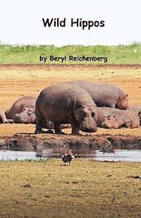 Wild Hippos 1