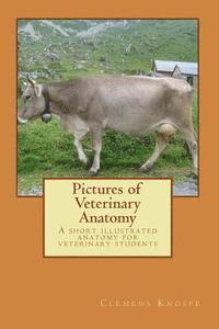 bokomslag Pictures of Veterinary Anatomy: A short illustrated anatomy for veterinary students