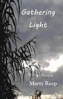 Marty Reep - Gathering Light, Häftad