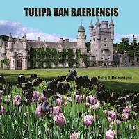 bokomslag Tulipa van Baerlensis