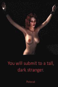 You Will Submit to a Tall Dark Stranger 1