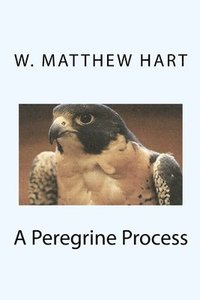 bokomslag A Peregrine Process