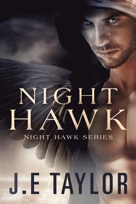 Night Hawk 1