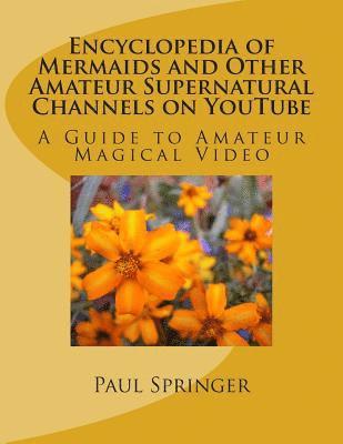 bokomslag Mermaids and Other Amateur Supernatural Channels on Youtube: A Guide to Amateur Magical Video