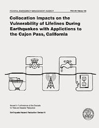 bokomslag Collocation Impacts on the Vulnerability of Lifelines During Earthquakes with Applications to the Cajon Pass, California (FEMA 226)