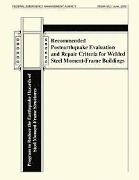 bokomslag Recommended Postearthquake Evaluation and Repair Criteria for Welded Steel Moment-Frame Buidlings (FEMA 352)