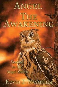 bokomslag Angel: The Awakening