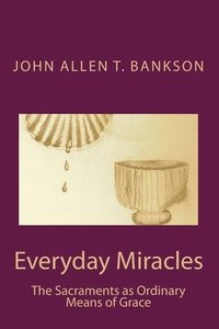 bokomslag Everyday Miracles