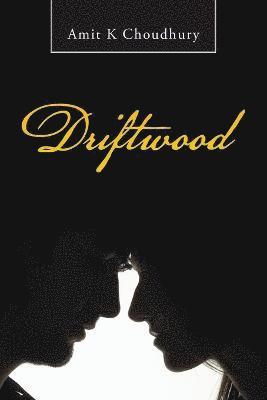Amit K Choudhury, Amit K. Choudhury - Driftwood, Häftad