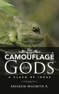bokomslag Camouflage of the Gods