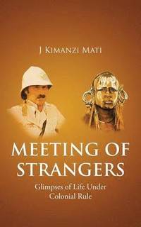bokomslag Meeting of Strangers