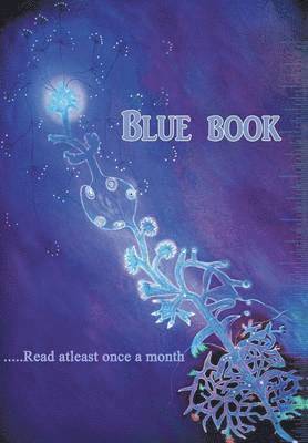 Blue Book 1