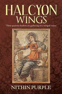 bokomslag Halcyon Wings