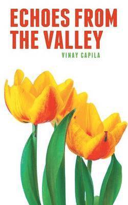 Echoes from the Valley 1