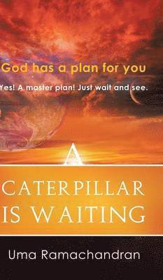 Caterpillar Is Waiting 1