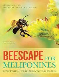 bokomslag Beescape for Meliponines