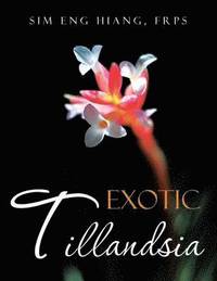 bokomslag Exotic Tillandsia