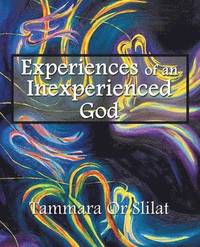 bokomslag Experiences of an Inexperienced God