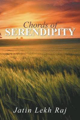 bokomslag Chords of Serendipity