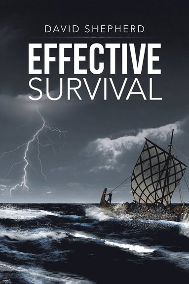 bokomslag Effective Survival