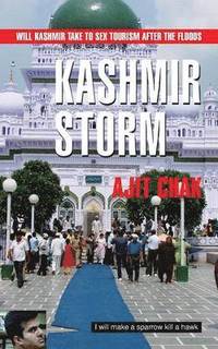 bokomslag Kashmir Storm