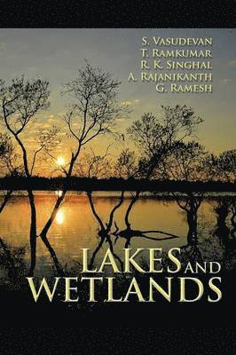 bokomslag Lakes and Wetlands