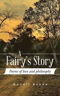 bokomslag A Fairy's Story