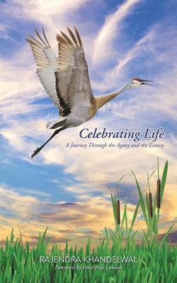 Celebrating Life 1