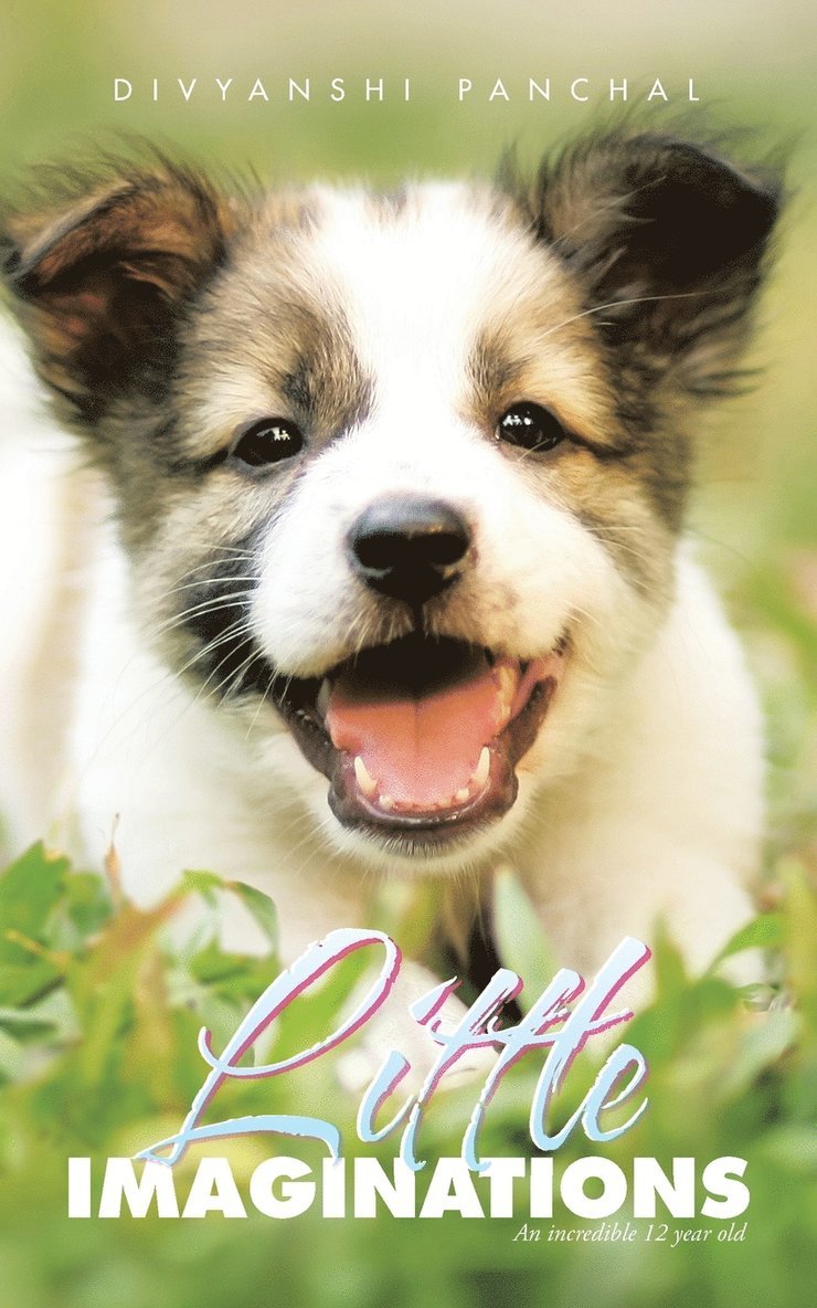 Divyanshi Panchal - Little Imaginations, Häftad