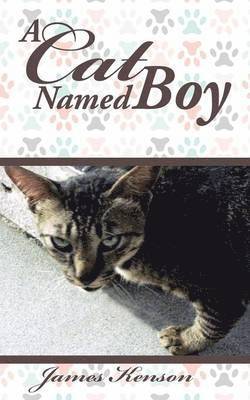 bokomslag Cat Named Boy