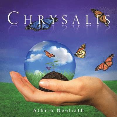 Chrysalis 1