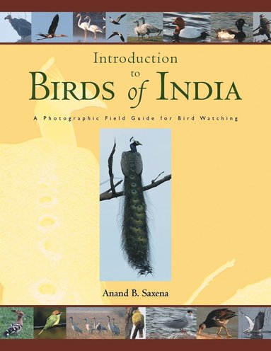 bokomslag Birds of India
