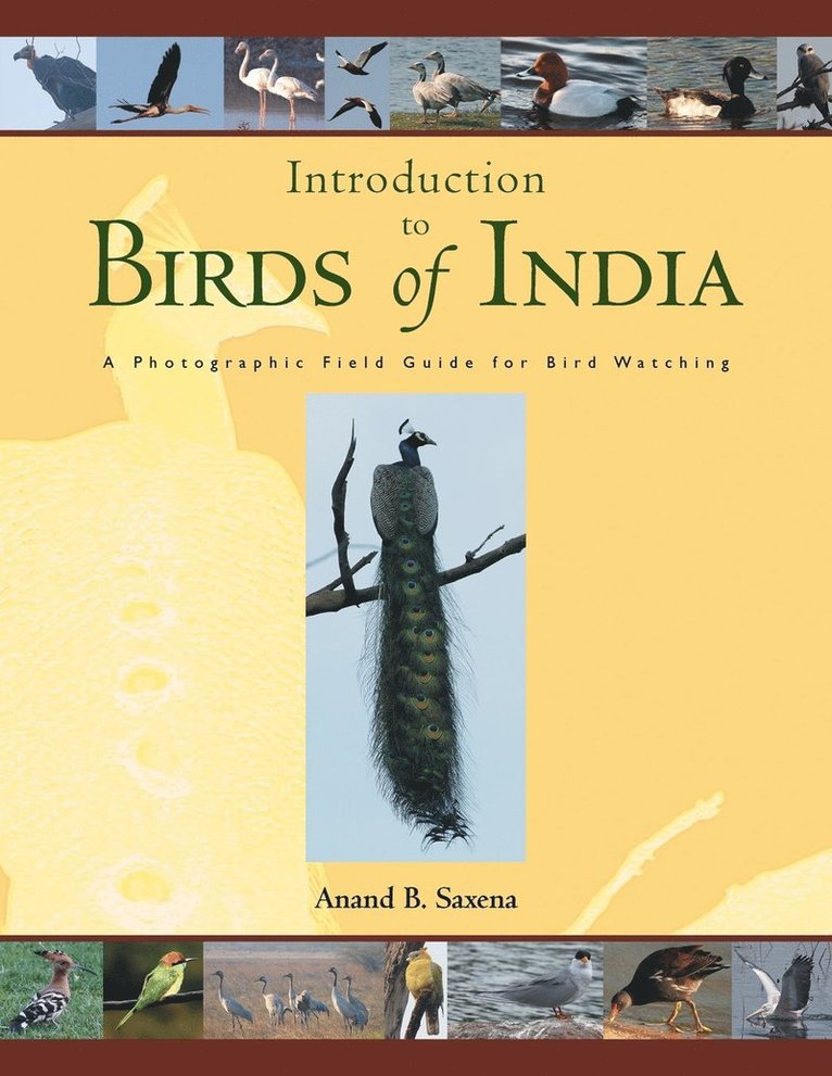 Birds of India 1