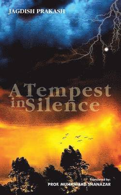 A Tempest in Silence 1