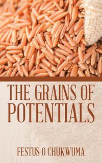 bokomslag The Grains of Potentials