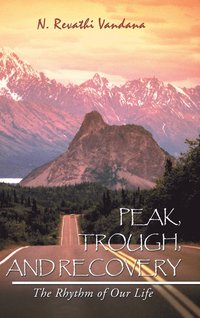 bokomslag Peak, Trough, and Recovery