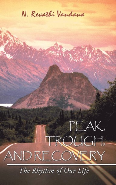 bokomslag Peak, Trough, and Recovery
