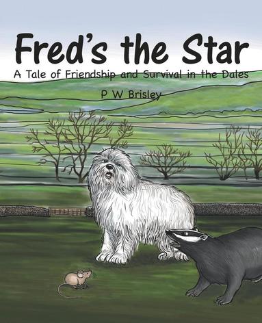 bokomslag Fred's the Star