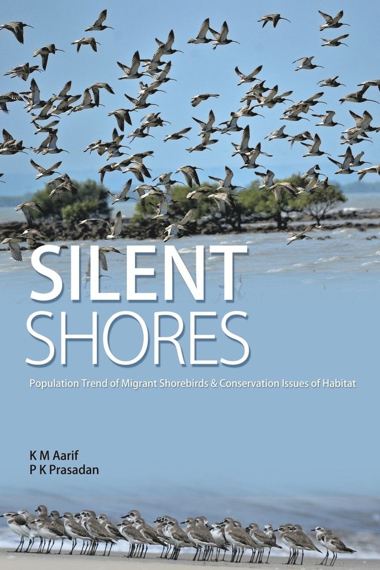 Silent Shores 1