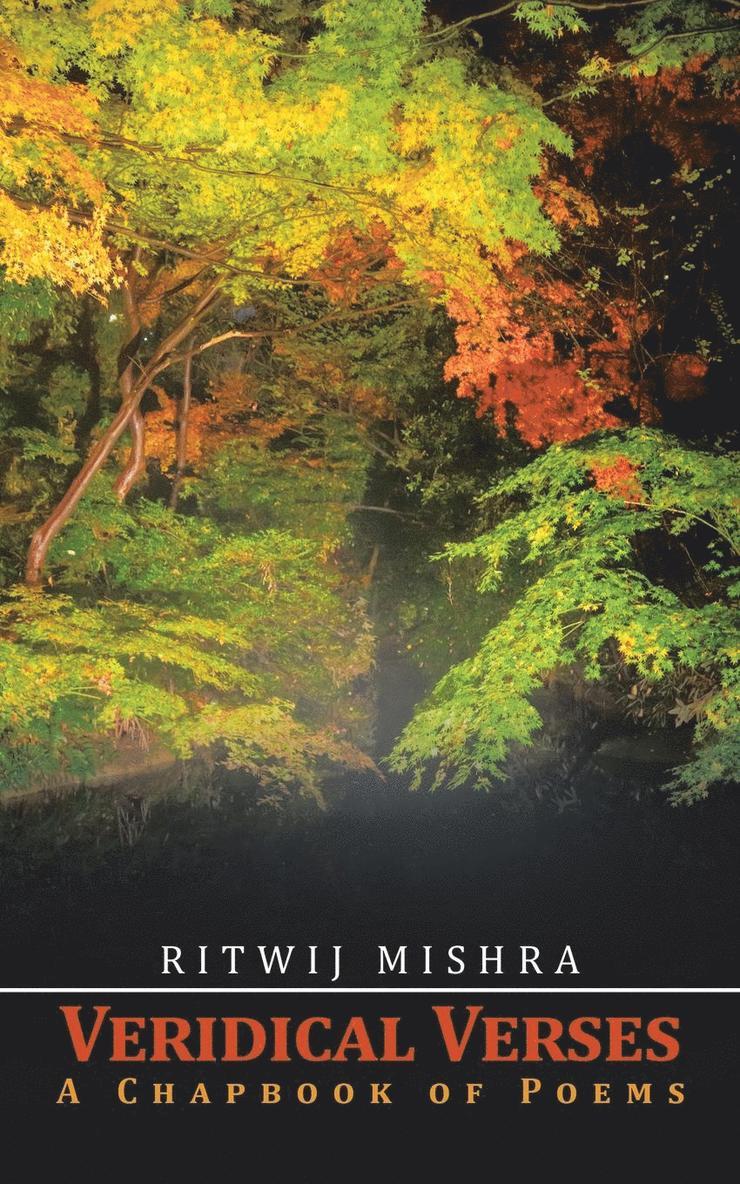 Ritwij Mishra - Veridical Verses, Häftad