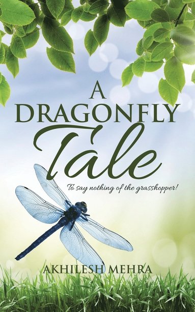bokomslag A Dragonfly Tale