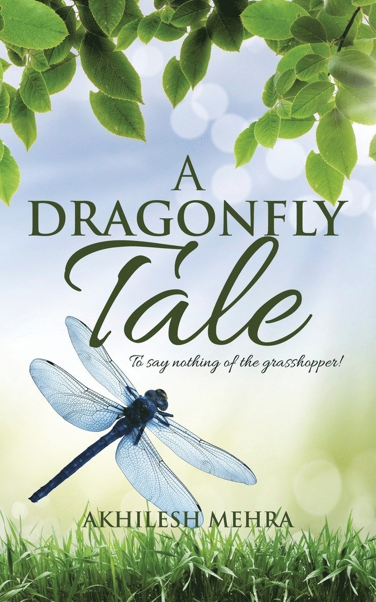 A Dragonfly Tale 1