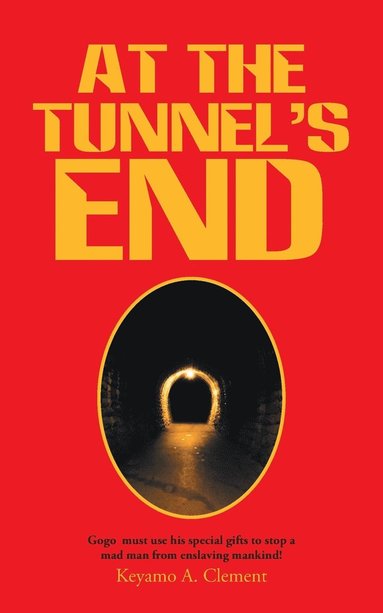 bokomslag At The Tunnel's End