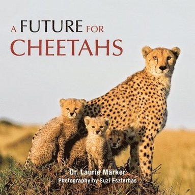bokomslag A Future for Cheetahs