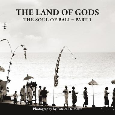 bokomslag Land of Gods