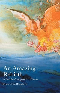 bokomslag Amazing Rebirth