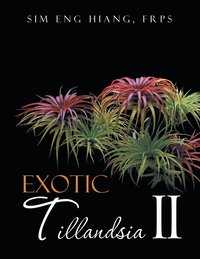 bokomslag Exotic Tillandsia II